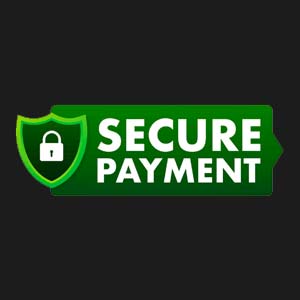 icon-secure-payment