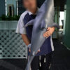 dc-100cm-shark-2026cover