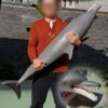 dollscastle-dolphine-silicone-eustock-cover
