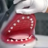 Dolls Castle Fur Fapdolls 100cm silicone shark masturbator sex toy for men