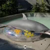 Dolls Castle Dolphin 130cm silicone animel sex toy for men